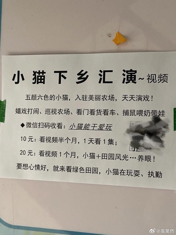 今日沙雕： “要是時(shí)間能倒流就好了” 拉完屎的男桐幻想道宣傳圖140