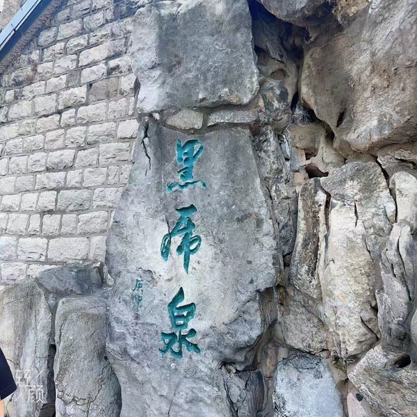 今日沙雕： “要是時(shí)間能倒流就好了” 拉完屎的男桐幻想道宣傳圖147