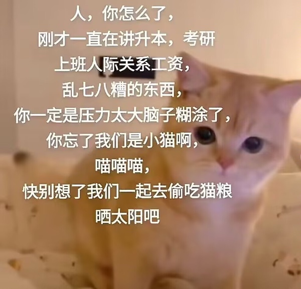 今日沙雕： “要是時(shí)間能倒流就好了” 拉完屎的男桐幻想道宣傳圖165