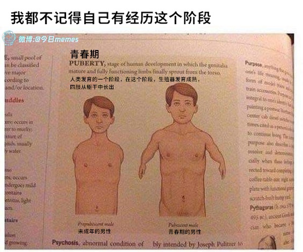 今日沙雕： “要是時(shí)間能倒流就好了” 拉完屎的男桐幻想道宣傳圖191