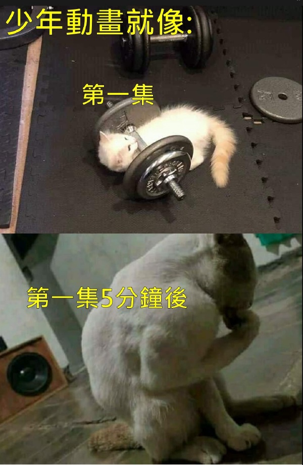 今日沙雕： 玻璃掉地上會碎，那為什么落地窗不會碎宣傳圖3