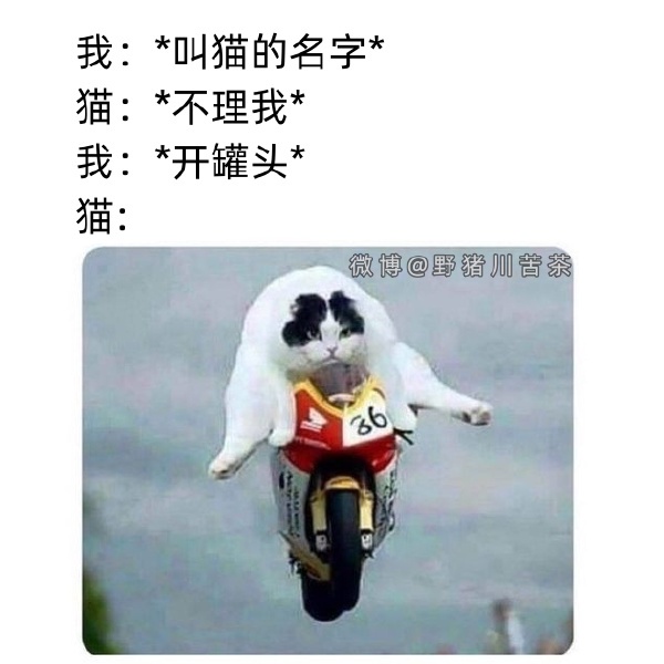 今日沙雕： 玻璃掉地上會碎，那為什么落地窗不會碎宣傳圖60