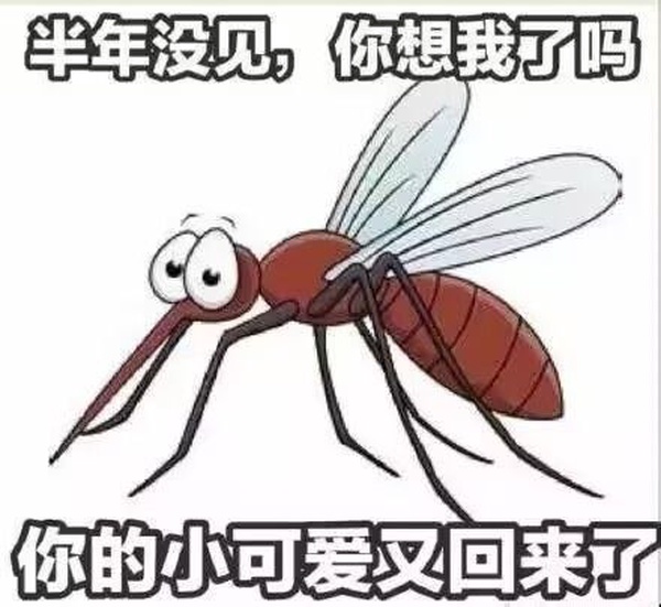 今日沙雕：西游記是紀(jì)實(shí)小說嗎，畢竟羅貫中真的去過西天宣傳圖48