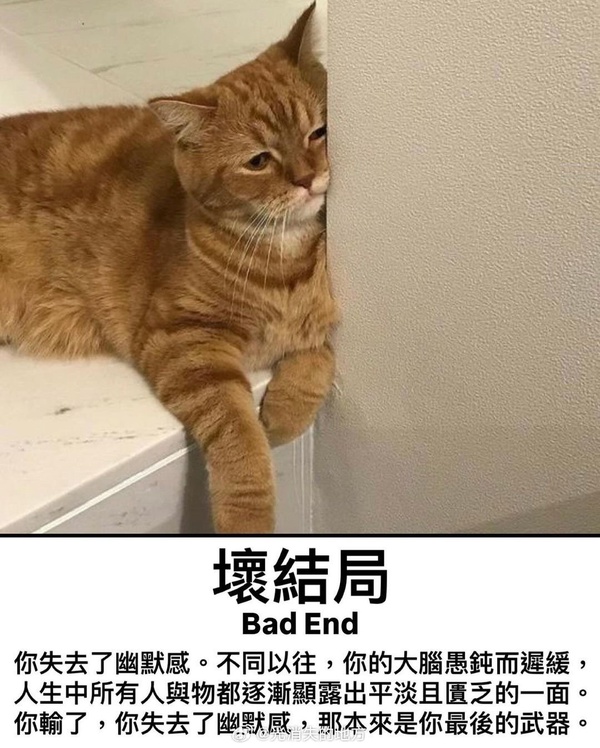 今日沙雕：西游記是紀(jì)實(shí)小說嗎，畢竟羅貫中真的去過西天宣傳圖65