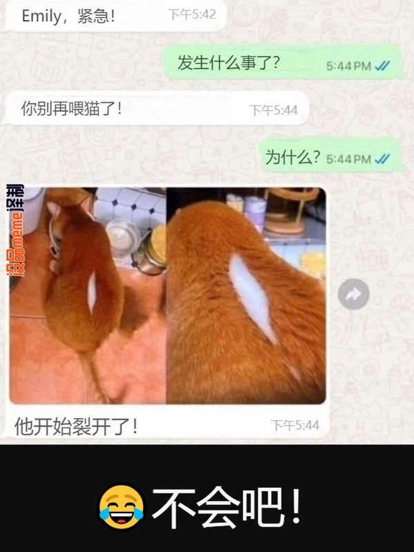 今日沙雕：西游記是紀(jì)實(shí)小說嗎，畢竟羅貫中真的去過西天宣傳圖97