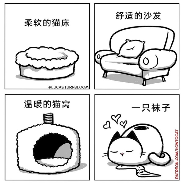 今日沙雕： “我中午可以補(bǔ)覺嗎？” “做你的白日夢去”宣傳圖11