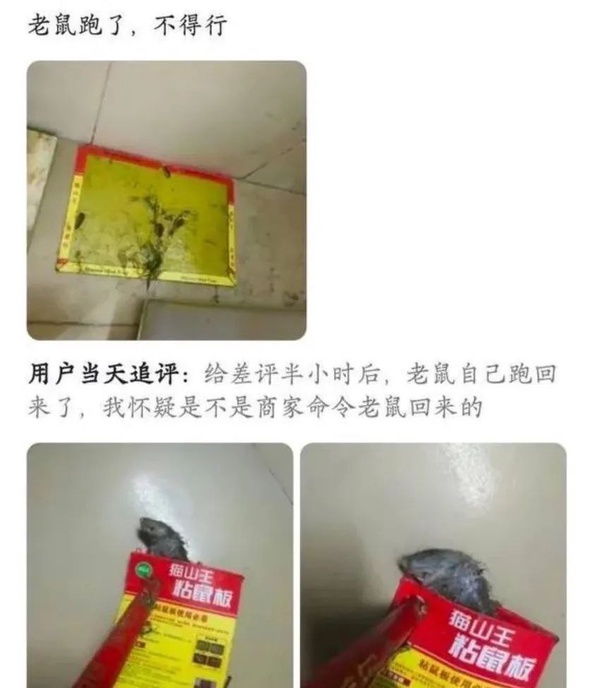 今日沙雕： “我中午可以補(bǔ)覺嗎？” “做你的白日夢去”宣傳圖30