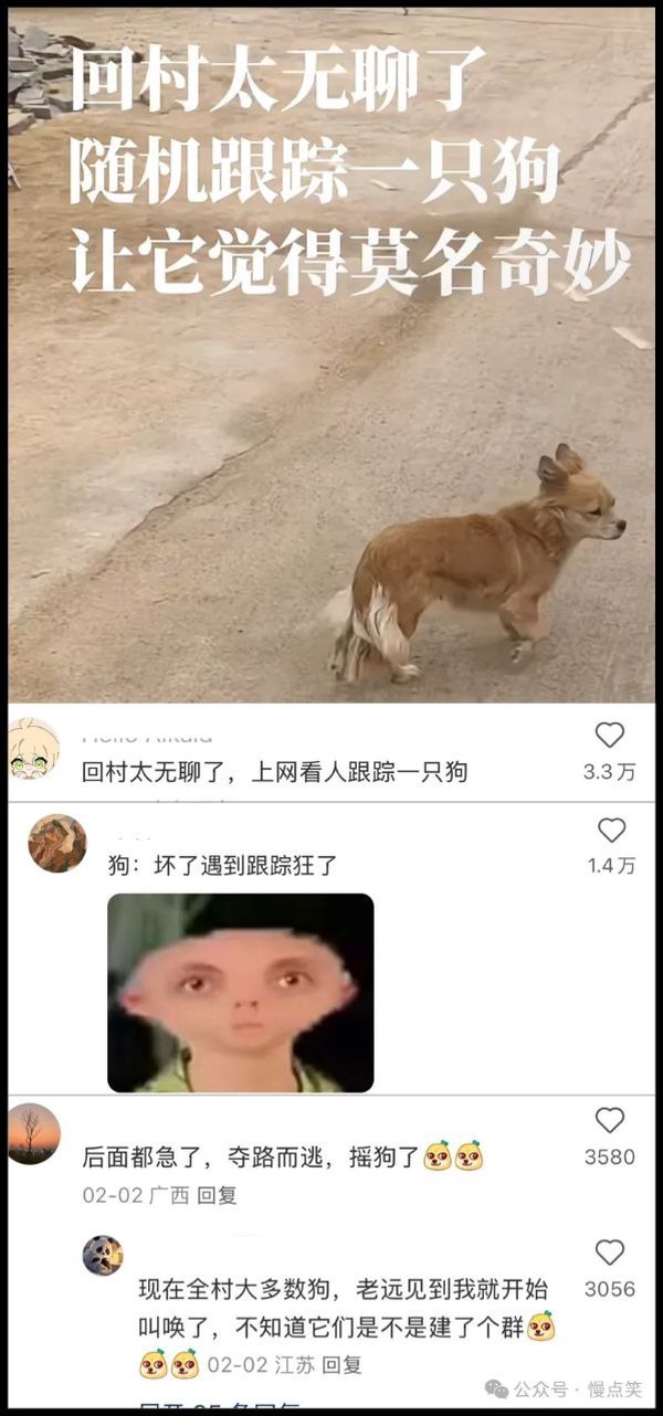 今日沙雕： “我中午可以補(bǔ)覺嗎？” “做你的白日夢去”宣傳圖53