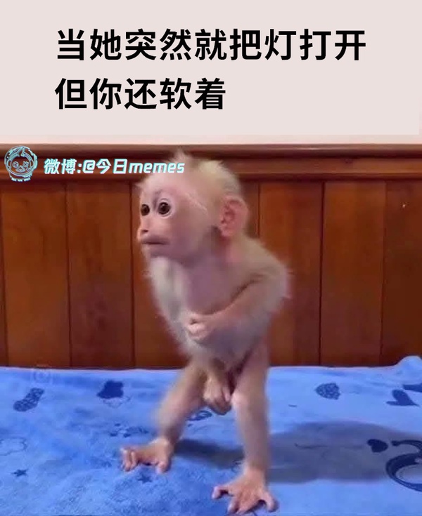 今日沙雕： “我中午可以補(bǔ)覺嗎？” “做你的白日夢去”宣傳圖87