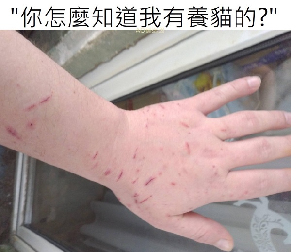 今日沙雕：大伙們撞到鬼都是怎么解決的，是道歉還是賠錢宣傳圖2