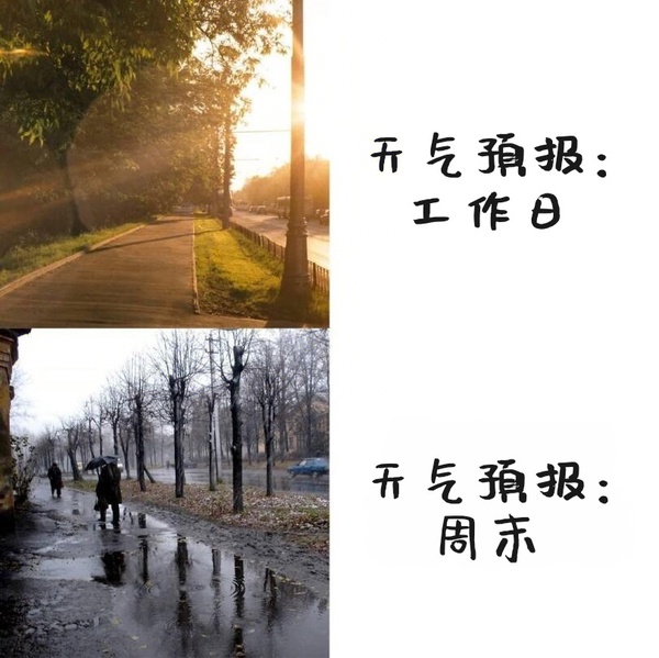 今日沙雕：大伙們撞到鬼都是怎么解決的，是道歉還是賠錢宣傳圖9