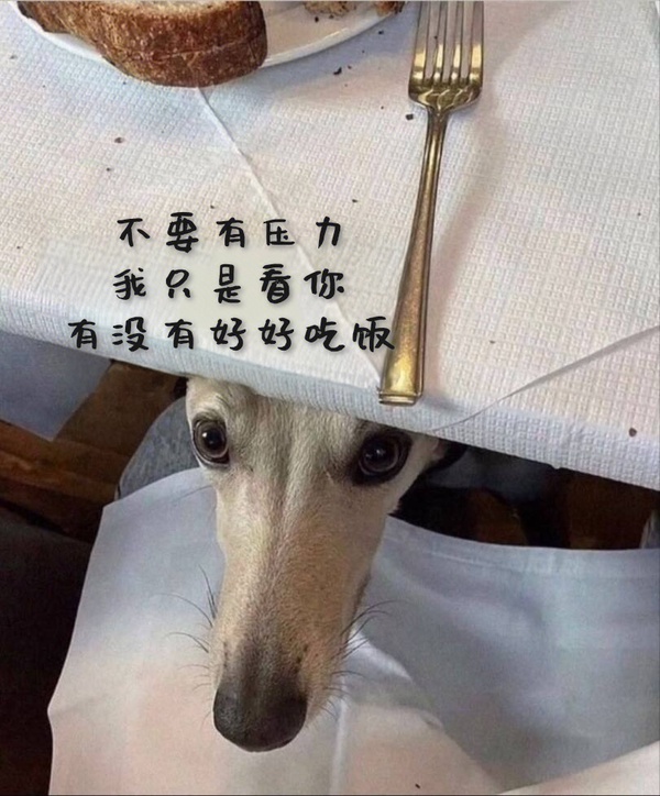 今日沙雕：大伙們撞到鬼都是怎么解決的，是道歉還是賠錢宣傳圖10