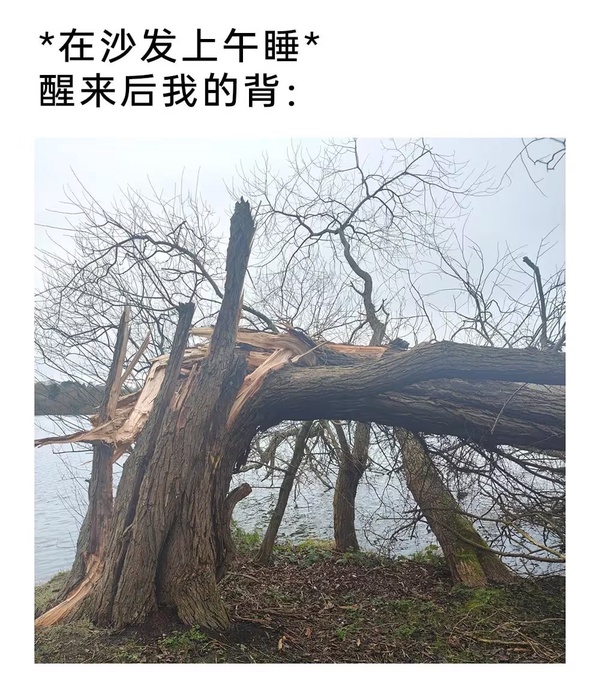 今日沙雕：大伙們撞到鬼都是怎么解決的，是道歉還是賠錢宣傳圖40