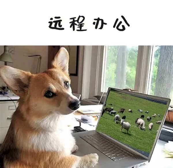 今日沙雕： 小偷將自己的作案過程寫成小說算正版還是盜版宣傳圖48