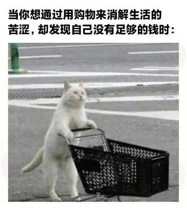 今日沙雕：鎮(zhèn)關西挨了三拳后心領神會，晚上三更準時來到魯提轄的房間宣傳圖12