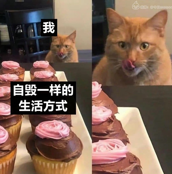 今日沙雕：鎮(zhèn)關西挨了三拳后心領神會，晚上三更準時來到魯提轄的房間宣傳圖13