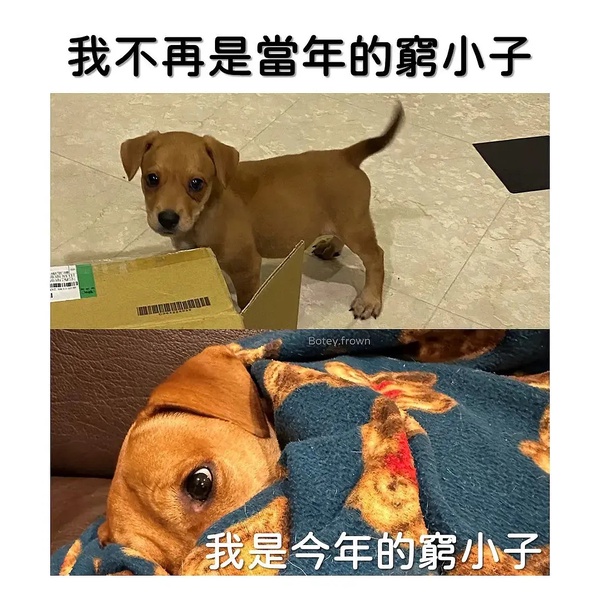 今日沙雕：鎮(zhèn)關西挨了三拳后心領神會，晚上三更準時來到魯提轄的房間宣傳圖24