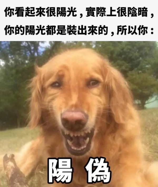 今日沙雕：鎮(zhèn)關西挨了三拳后心領神會，晚上三更準時來到魯提轄的房間宣傳圖25