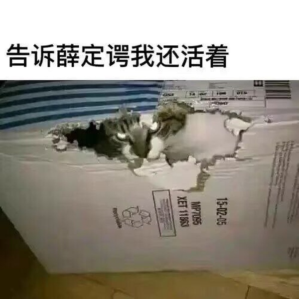 今日沙雕：鎮(zhèn)關西挨了三拳后心領神會，晚上三更準時來到魯提轄的房間宣傳圖36