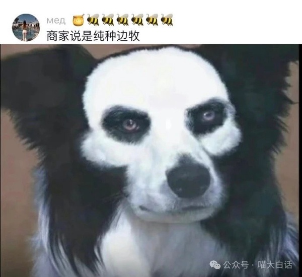 今日沙雕：鎮(zhèn)關西挨了三拳后心領神會，晚上三更準時來到魯提轄的房間宣傳圖38