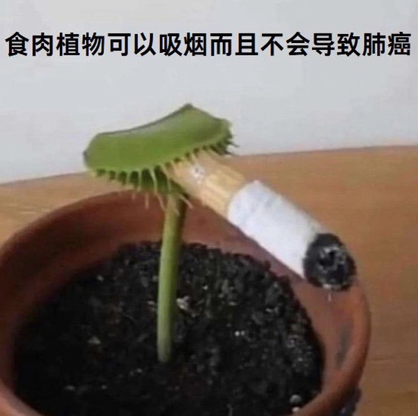 今日沙雕：鎮(zhèn)關西挨了三拳后心領神會，晚上三更準時來到魯提轄的房間宣傳圖42