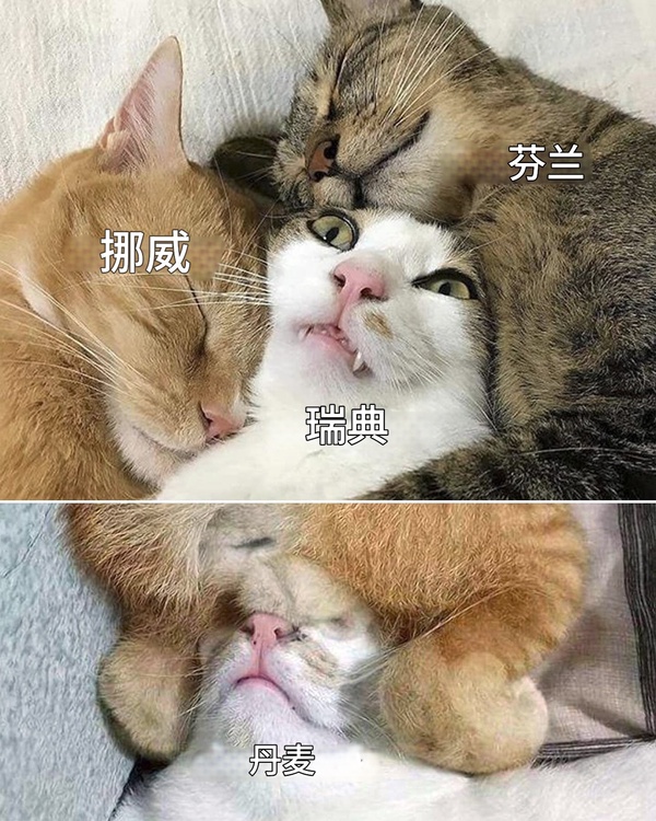 今日沙雕：鎮(zhèn)關西挨了三拳后心領神會，晚上三更準時來到魯提轄的房間宣傳圖46