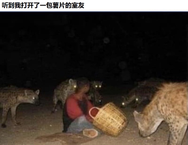 今日沙雕： 和老婆結(jié)婚三年了還是不給我看內(nèi)臟這正常嗎？宣傳圖8