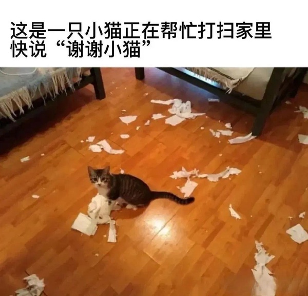 今日沙雕： 和老婆結(jié)婚三年了還是不給我看內(nèi)臟這正常嗎？宣傳圖13