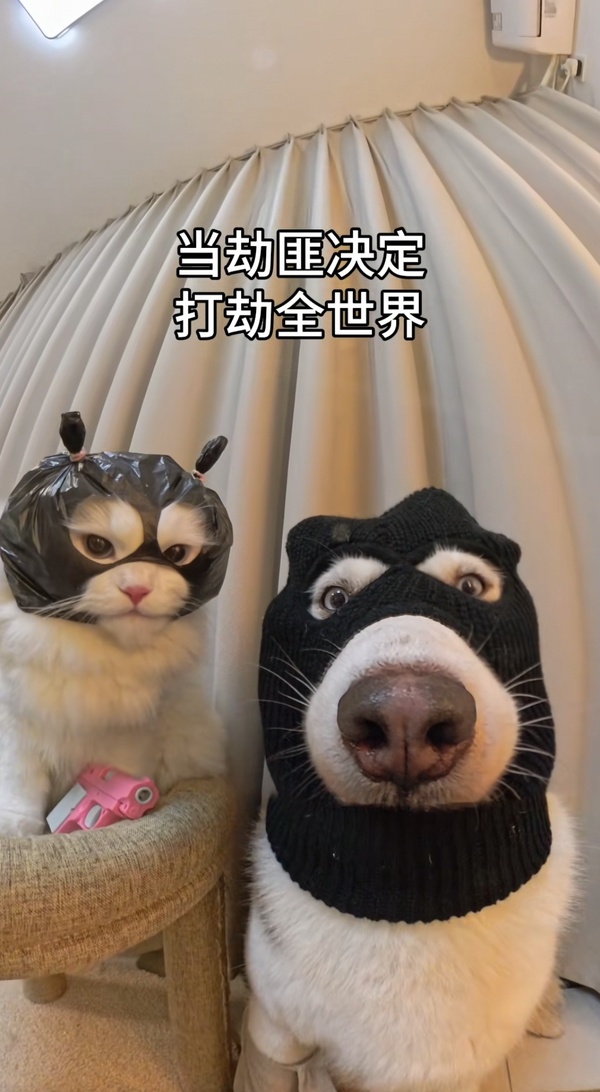 今日沙雕： 和老婆結(jié)婚三年了還是不給我看內(nèi)臟這正常嗎？宣傳圖28