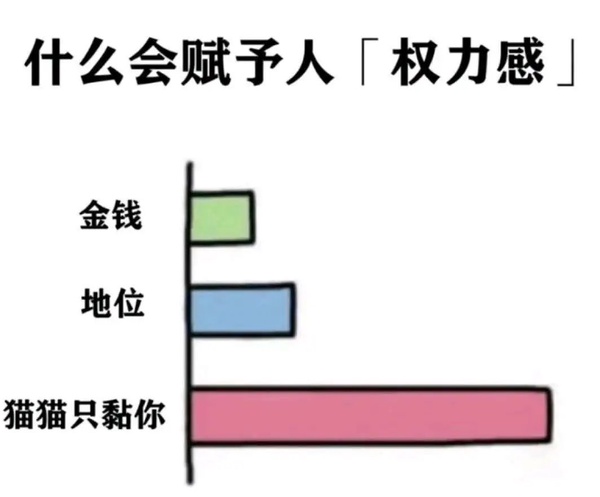 今日沙雕： 和老婆結(jié)婚三年了還是不給我看內(nèi)臟這正常嗎？宣傳圖42