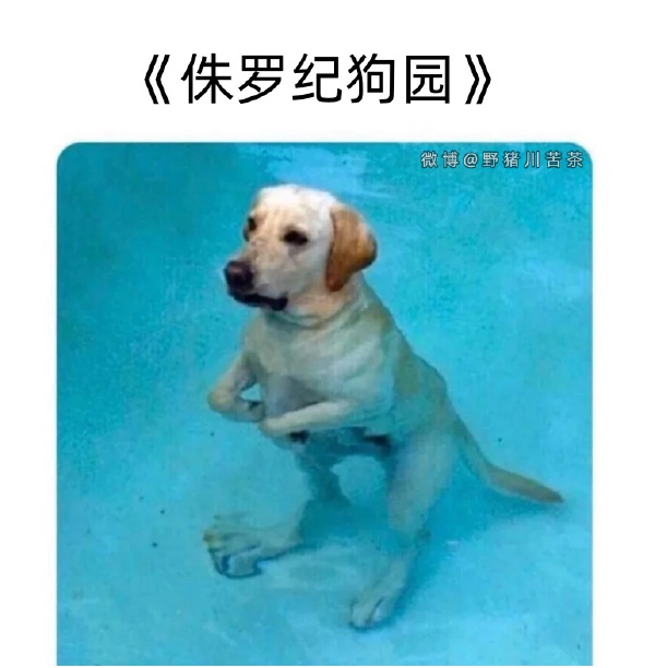 今日沙雕： 和老婆結(jié)婚三年了還是不給我看內(nèi)臟這正常嗎？宣傳圖99