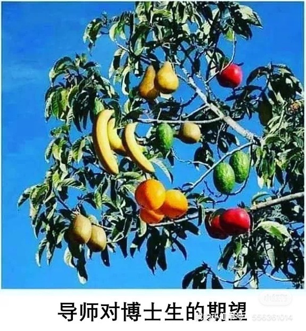 今日沙雕：向AI求婚會(huì)需要給多少GB彩禮？宣傳圖23