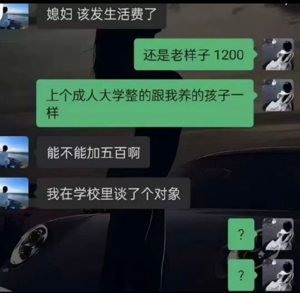 今日沙雕：向AI求婚會(huì)需要給多少GB彩禮？宣傳圖35