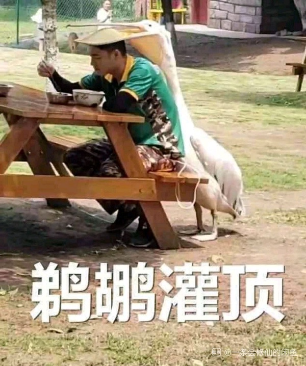 今日沙雕：向AI求婚會(huì)需要給多少GB彩禮？宣傳圖45