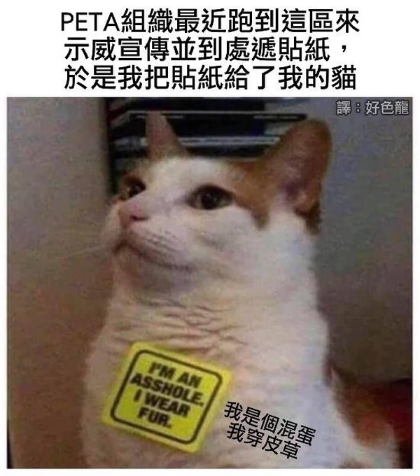 今日沙雕：向AI求婚會(huì)需要給多少GB彩禮？宣傳圖69