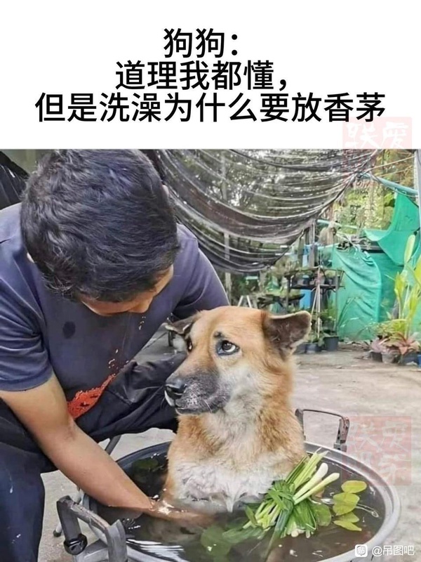 今日沙雕：向AI求婚會(huì)需要給多少GB彩禮？宣傳圖83