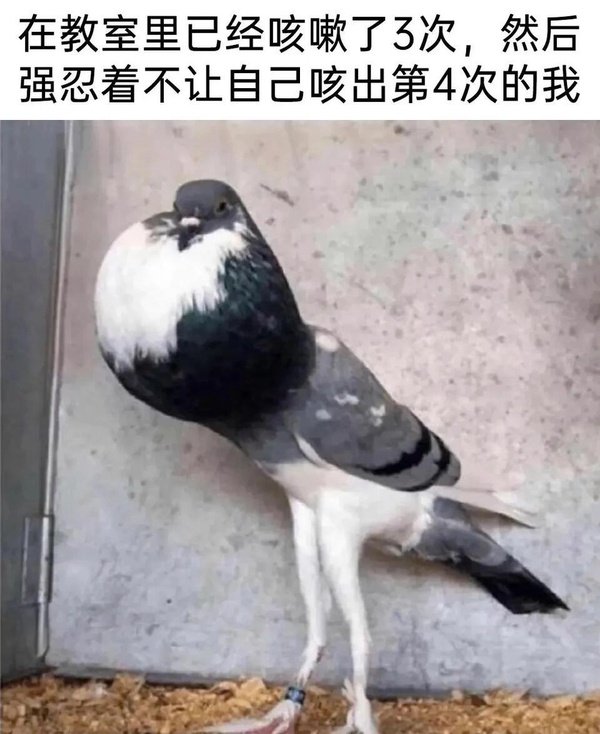 今日沙雕：向AI求婚會(huì)需要給多少GB彩禮？宣傳圖9