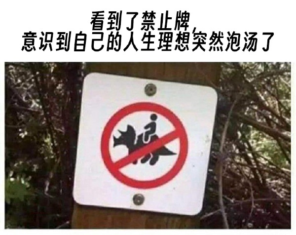 今日沙雕：向AI求婚會(huì)需要給多少GB彩禮？宣傳圖13