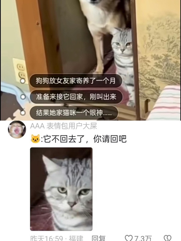 今日沙雕： 啞巴睡覺會用手語打呼嚕嗎？宣傳圖8