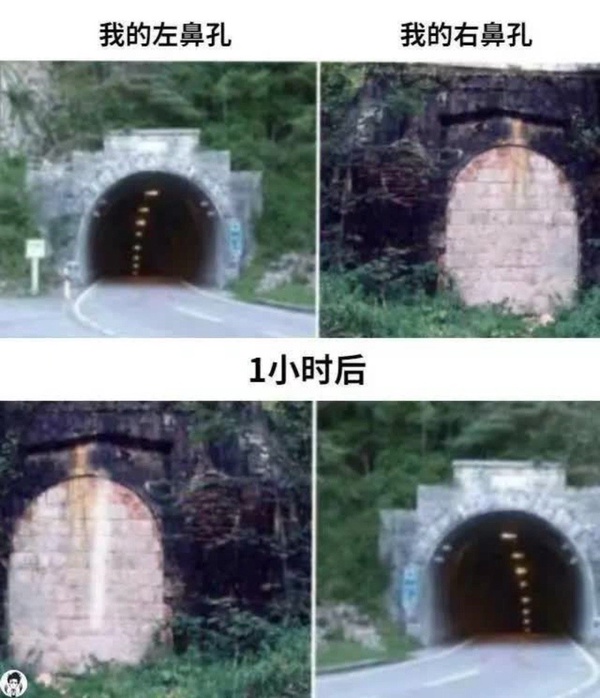 今日沙雕： 啞巴睡覺會用手語打呼嚕嗎？宣傳圖12