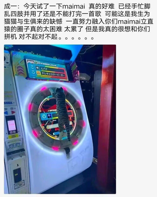 今日沙雕： 檳榔對口腔有害，那么磨成粉吸入不就好了宣傳圖67