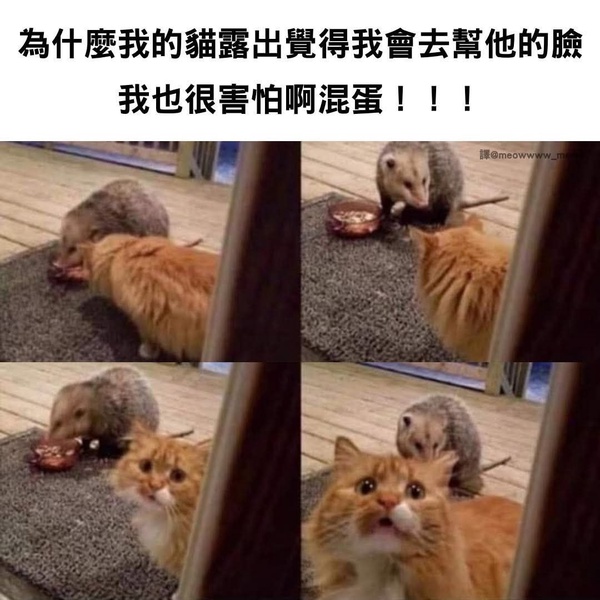 今日沙雕： 檳榔對口腔有害，那么磨成粉吸入不就好了宣傳圖74