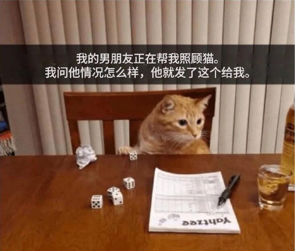 今日沙雕： 檳榔對口腔有害，那么磨成粉吸入不就好了宣傳圖89
