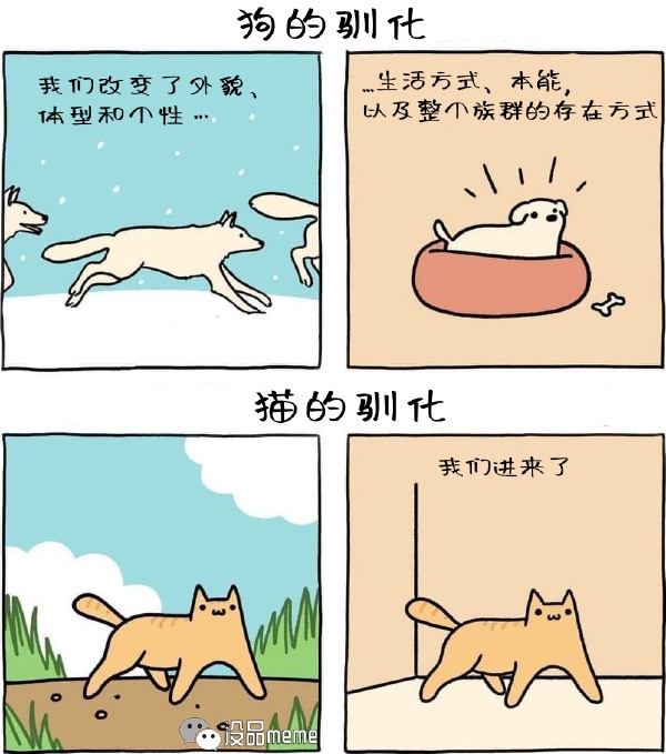 今日沙雕： 檳榔對口腔有害，那么磨成粉吸入不就好了宣傳圖93