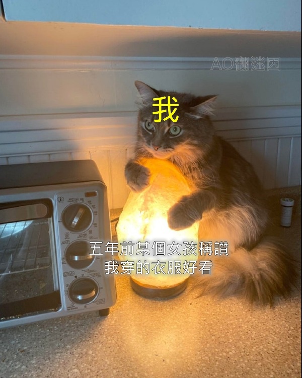 今日沙雕：先人早投胎去了，那每年的貢品都燒給誰了宣傳圖4