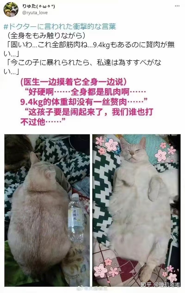 今日沙雕： 我向老師求婚，結(jié)果老師要見我家長，我是不是成功了宣傳圖29