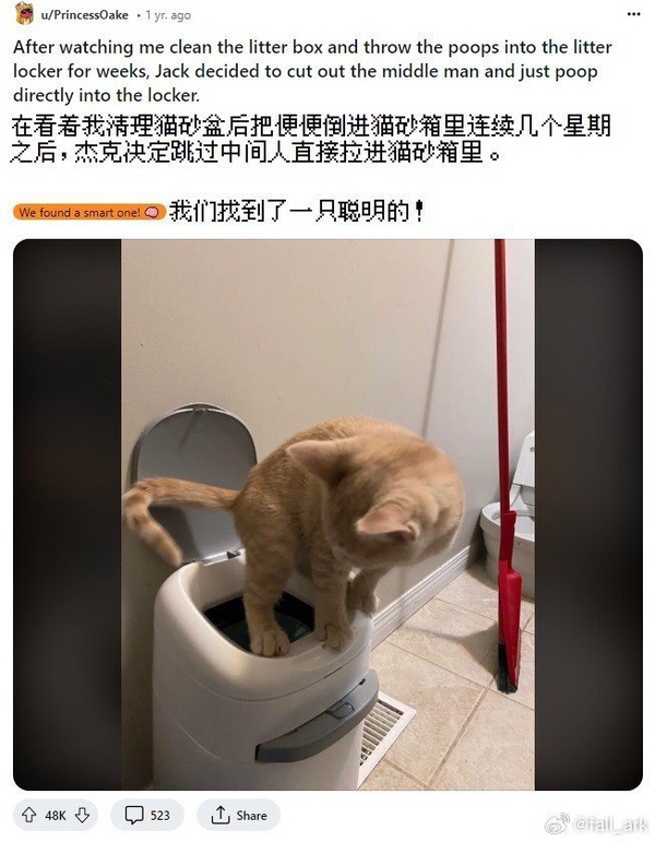 今日沙雕： 我向老師求婚，結(jié)果老師要見我家長，我是不是成功了宣傳圖37