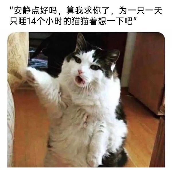 今日沙雕： 我向老師求婚，結(jié)果老師要見我家長，我是不是成功了宣傳圖38