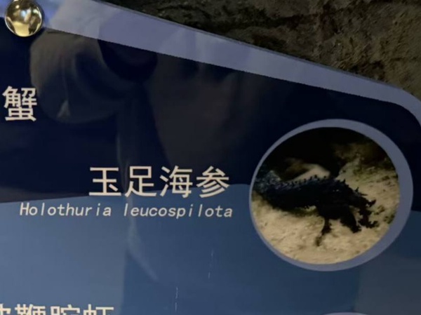 今日沙雕： 我向老師求婚，結(jié)果老師要見我家長，我是不是成功了宣傳圖43