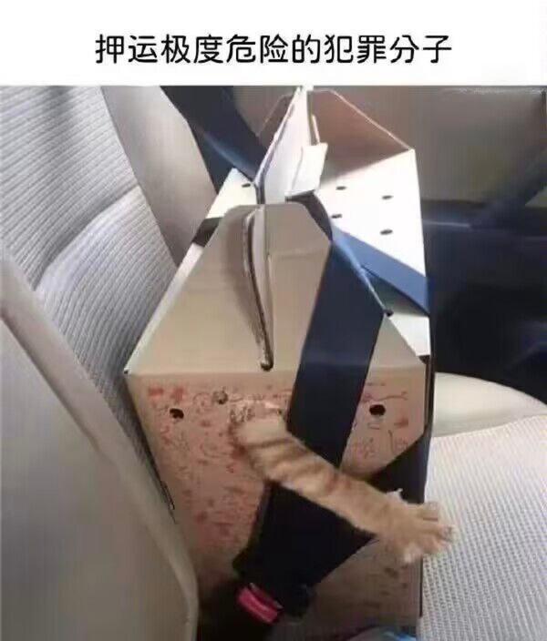 今日沙雕： 我向老師求婚，結(jié)果老師要見我家長，我是不是成功了宣傳圖51